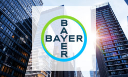 Beitragsbild zu Bayer Aktie: Zulassung mit Haken