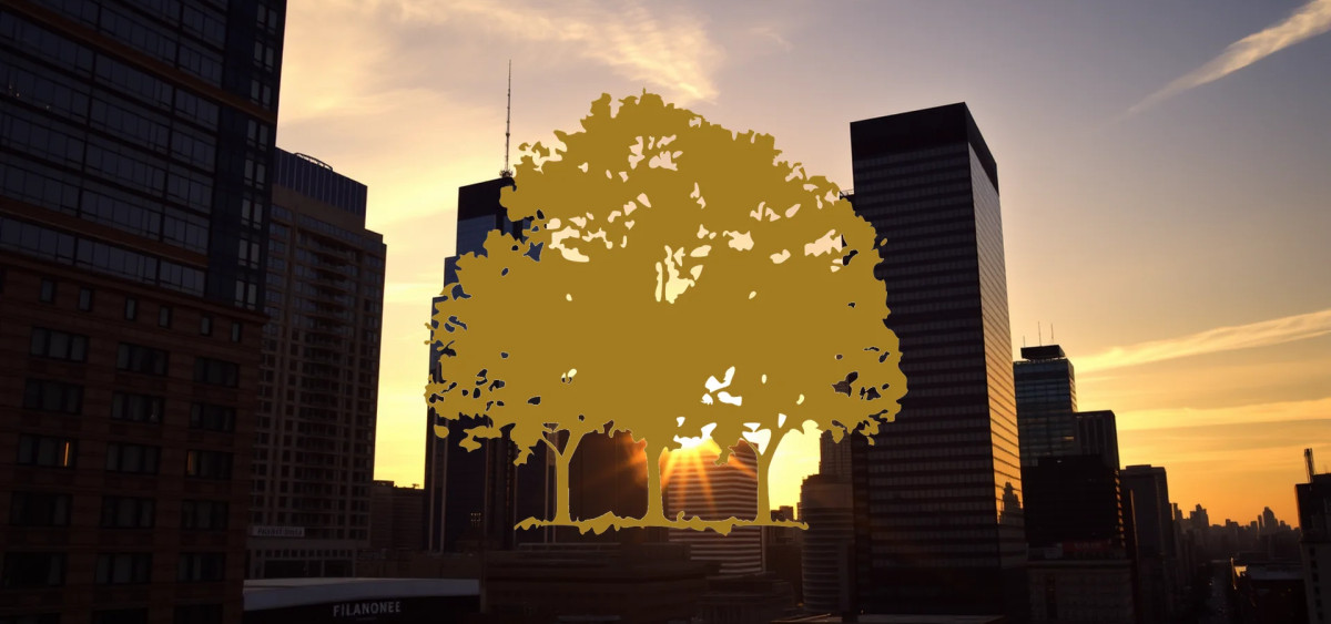 Beitragsbild zu Canopy Growth Aktie: Politischer Hoffnungsschimmer