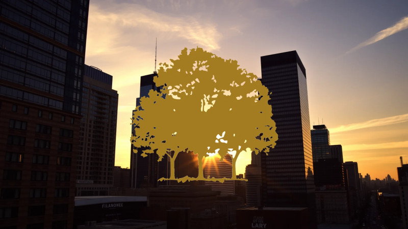 Beitragsbild zu Canopy Growth Aktie: Politischer Hoffnungsschimmer