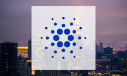Beitragsbild zu Cardano: Explosiver Aufstieg?