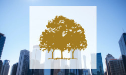 Beitragsbild zu Canopy Growth Aktie: Überlebenskampf!