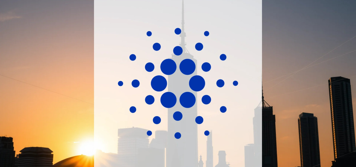 Beitragsbild zu Cardano: Ernüchternde Erfahrungen