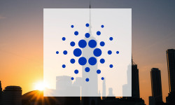 Beitragsbild zu Cardano: Ernüchternde Erfahrungen