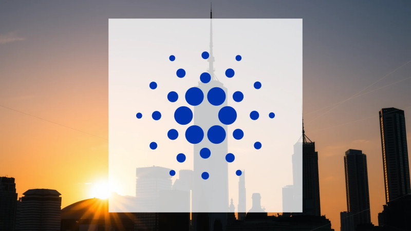 Beitragsbild zu Cardano: Ernüchternde Erfahrungen