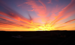 Beitragsbild zu Healwell AI Aktie: Regulierung drückt