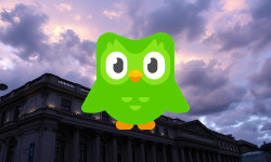 Beitragsbild zu Duolingo Aktie: Stabilitätsprobe