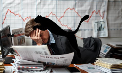 Beitragsbild zu Puma Aktie: Finanzierung im Fokus