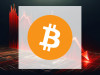 Beitragsbild zu Bitcoin: Wale schlagen zu!