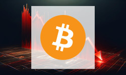 Beitragsbild zu Bitcoin: Wale schlagen zu!