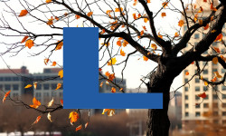 Beitragsbild zu Lenzing-Aktie: Zeit für Zuversicht?