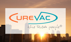 Beitragsbild zu CureVac Aktie: Alles oder Nichts?