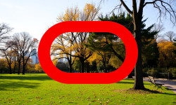 Beitragsbild zu Oracle Aktie: Neue Impulse