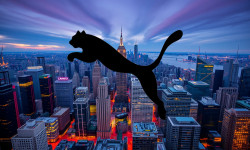 Beitragsbild zu Puma Aktie: Analystenwarnung ignoriert?