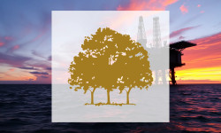 Beitragsbild zu Canopy Growth Aktie: Totalausfall!