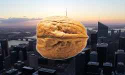 Beitragsbild zu PSI Software Aktie: Erfolgversprechende Ergebnisse