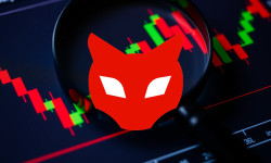 Beitragsbild zu Red Cat Aktie: Jetzt wird's ernst