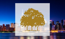 Beitragsbild zu Canopy Growth Aktie: Regulierungsschock!