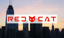 Beitragsbild zu Red Cat: Durchbruch oder Trugschluss?