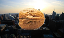 Beitragsbild zu PSI Software Aktie: Entscheidung gefallen!