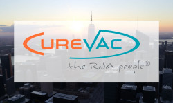 Beitragsbild zu CureVac Aktie: Leichter Rückschlag