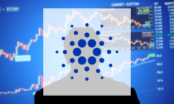 Beitragsbild zu Cardano: Chaos durch Gerüchte!
