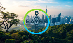 Beitragsbild zu Bayer Aktie: Euphorie gebremst