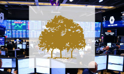 Beitragsbild zu Canopy Growth Aktie: Kampf um die Wende