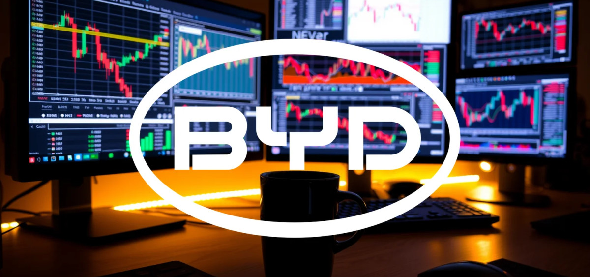 Beitragsbild zu BYD Aktie: Altbekannte Sorgen?