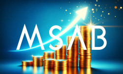 Beitragsbild zu Micro Systemation Aktie: Forensik-Nische unter Druck