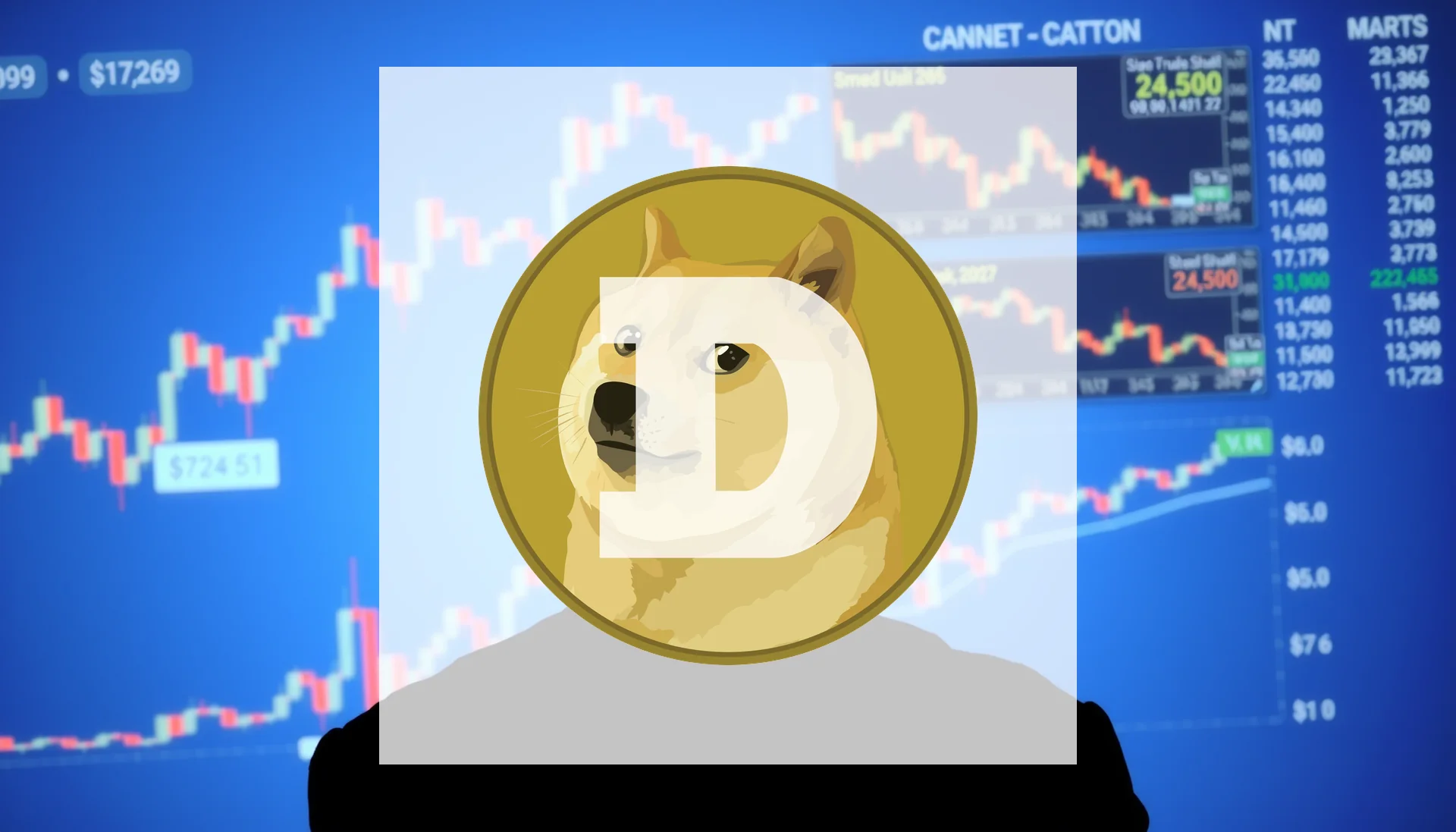 Börse Express - Dogecoin: Jahresende im Minus