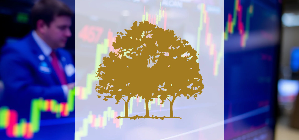 Beitragsbild zu Canopy Growth Aktie: Gewinnprognosen beständig!