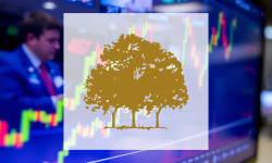 Beitragsbild zu Canopy Growth Aktie: Gewinnprognosen beständig!