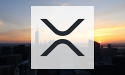 Beitragsbild zu XRP: Ausgezeichnete Netzqualität!