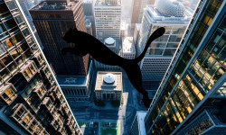 Beitragsbild zu Puma Aktie: Übernahme-Gerüchte!