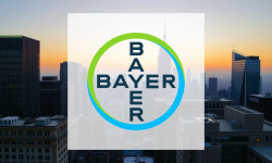 Beitragsbild zu Bayer Aktie: Durchbruch in den USA