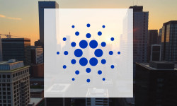 Beitragsbild zu Cardano: Kampf um 0,50 Dollar