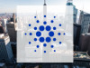 Beitragsbild zu Cardano: Zerrissene Signale