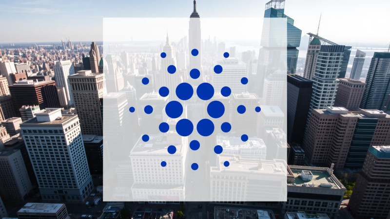 Beitragsbild zu Cardano: Zerrissene Signale