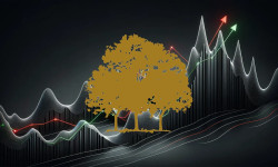 Beitragsbild zu Canopy Growth Aktie: Richtungsweisender Februar