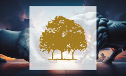 Beitragsbild zu Canopy Growth Aktie: Führungsoffensive in den USA