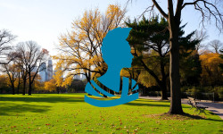 Beitragsbild zu Ballard Power Aktie: Gewinnsprung motiviert!