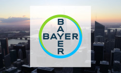 Beitragsbild zu Bayer Aktie: Rechtskampf eskaliert!