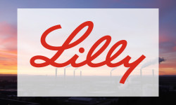 Beitragsbild zu Eli Lilly Aktie: Erfreulicher Umsatzzuwachs