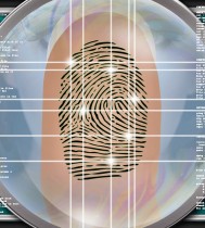 Biometrik Pixabay Placidplace