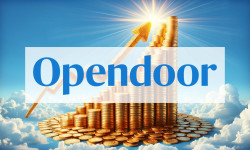 Beitragsbild zu Opendoor Aktie: Neue Führung, alte Probleme?