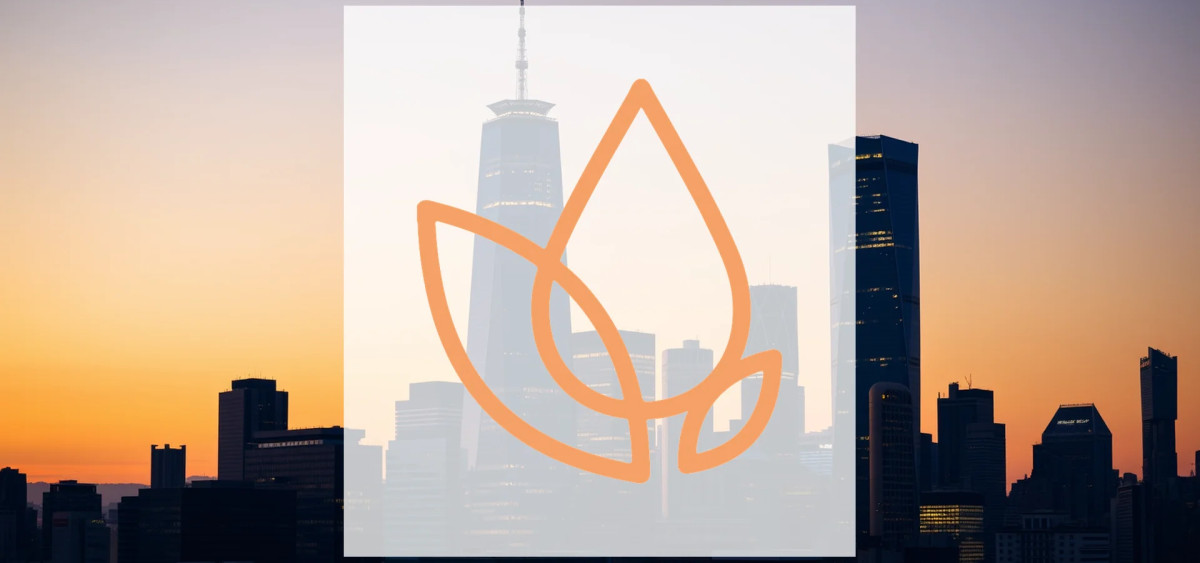 Beitragsbild zu Turpaz Aktie: Explosionsartiges Wachstum!