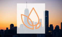 Beitragsbild zu Turpaz Aktie: Explosionsartiges Wachstum!