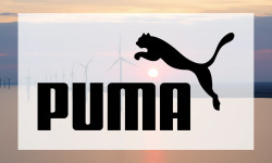 Beitragsbild zu Puma Aktie: Bitteres Jahrestief!