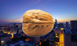 Beitragsbild zu PSI Software Aktie: SDAX-Rückkehr besiegelt