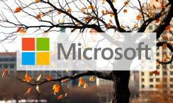 Beitragsbild zu Microsoft Aktie: Wohin nach dem Rekordhoch?